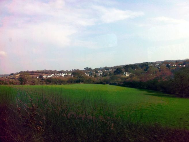 Country scenery as seen from the train