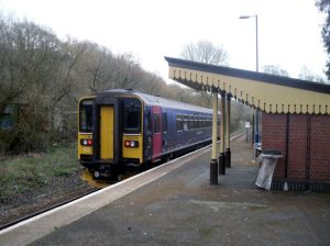 Photo of Class 153 train departing St Keyne