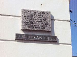 Photo of Falmouth Darwin Plaque