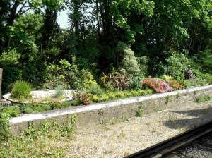 Shanklin station garden