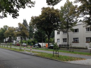 Schorlemerallee